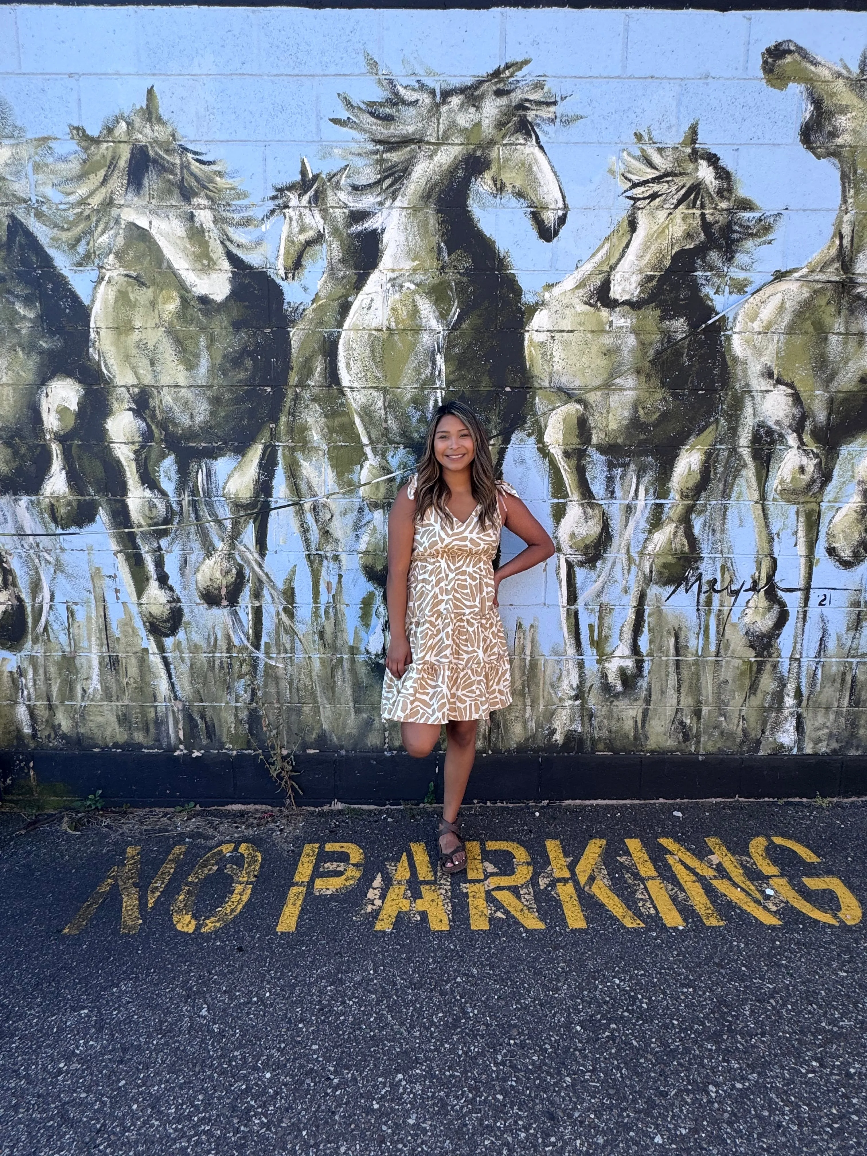 Tricia's Dress - Taupe/White Pattern